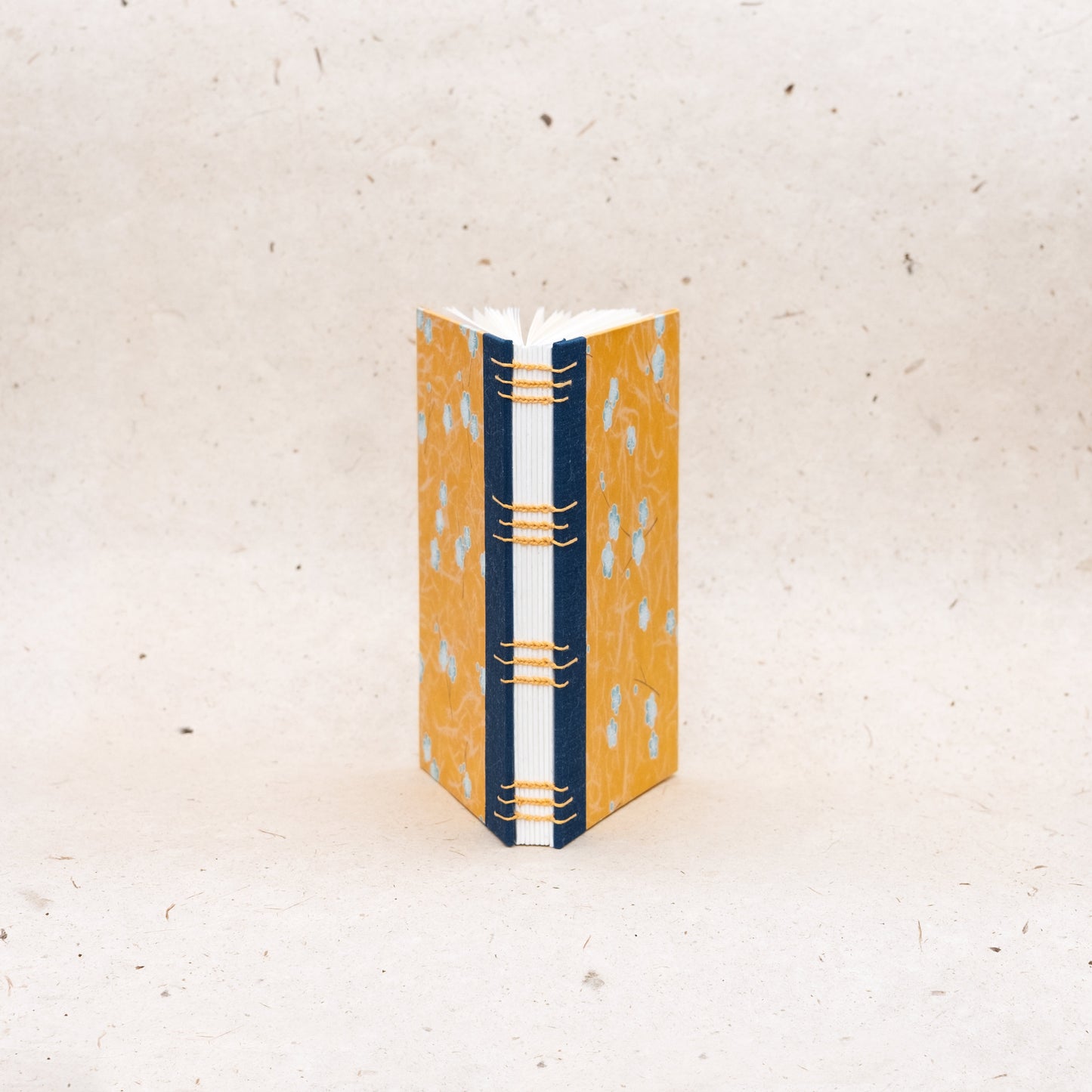 Lines, Flowers, B6 Journal