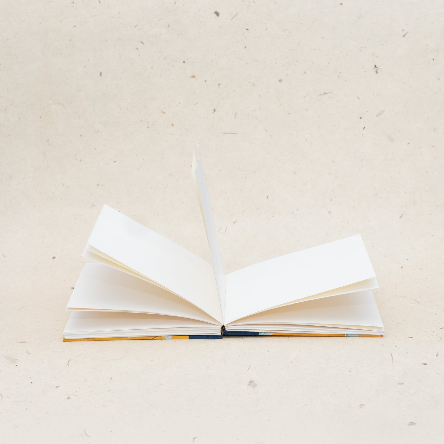 Lines, Flowers, B6 Journal